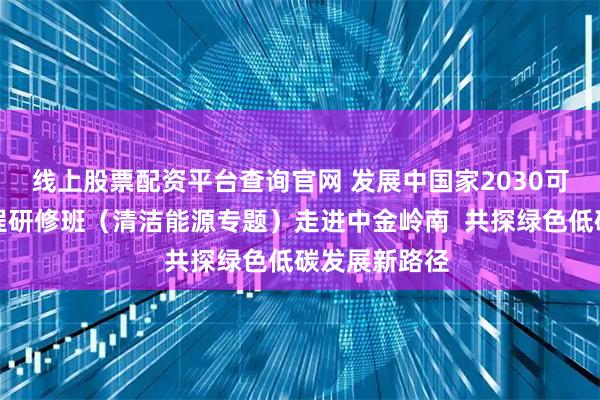 线上股票配资平台查询官网 发展中国家2030可持续发展议程研修班（清洁能源专题）走进中金岭南  共探绿色低碳发展新路径