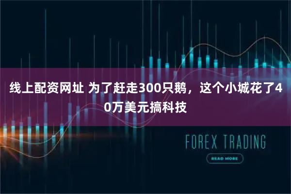 线上配资网址 为了赶走300只鹅，这个小城花了40万美元搞科技